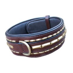 Dog Collars